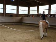 voltitag 2009 _CD2 115